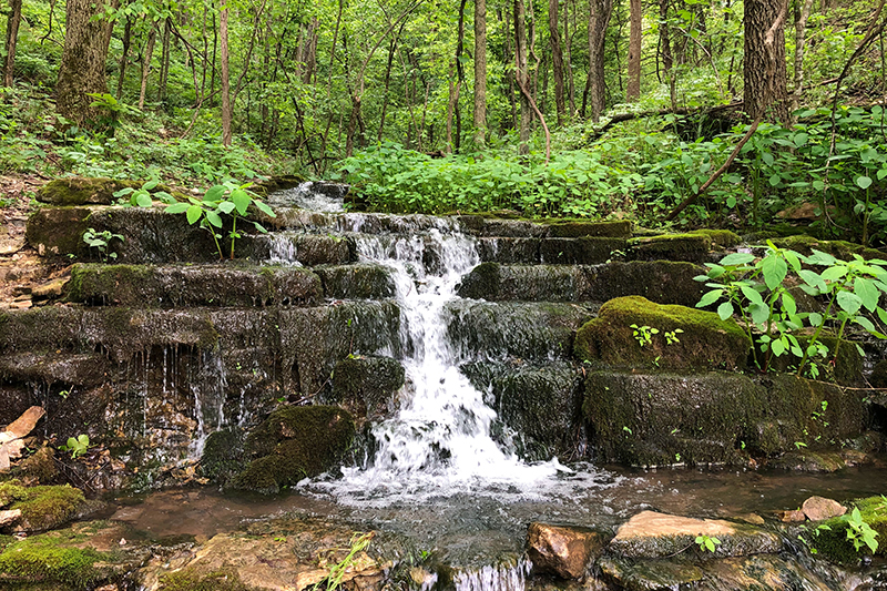 mark twain national forest owensville mo