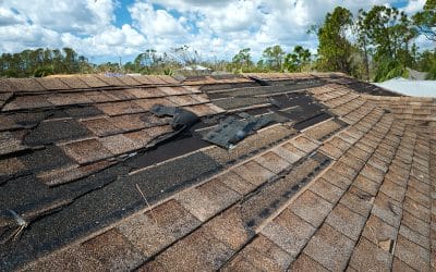 5 Warning Signs that Your Roof May be Failing – Don’t Wait Until It’s Too Late!
