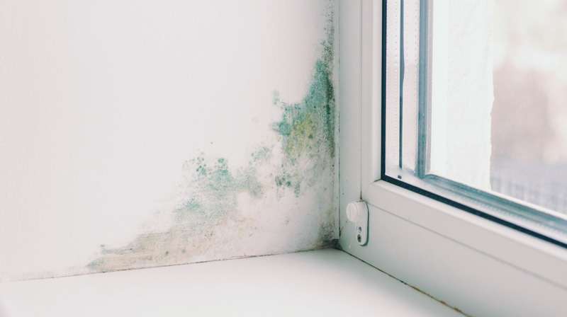 How Moisture Meters Detect Water Damage You Cannot See